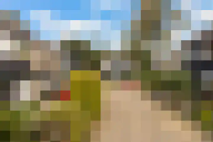 Pluim-es 48 Krimpen aan den IJssel thumbnail 51