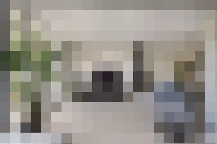 Pluim-es 48 Krimpen aan den IJssel thumbnail 6