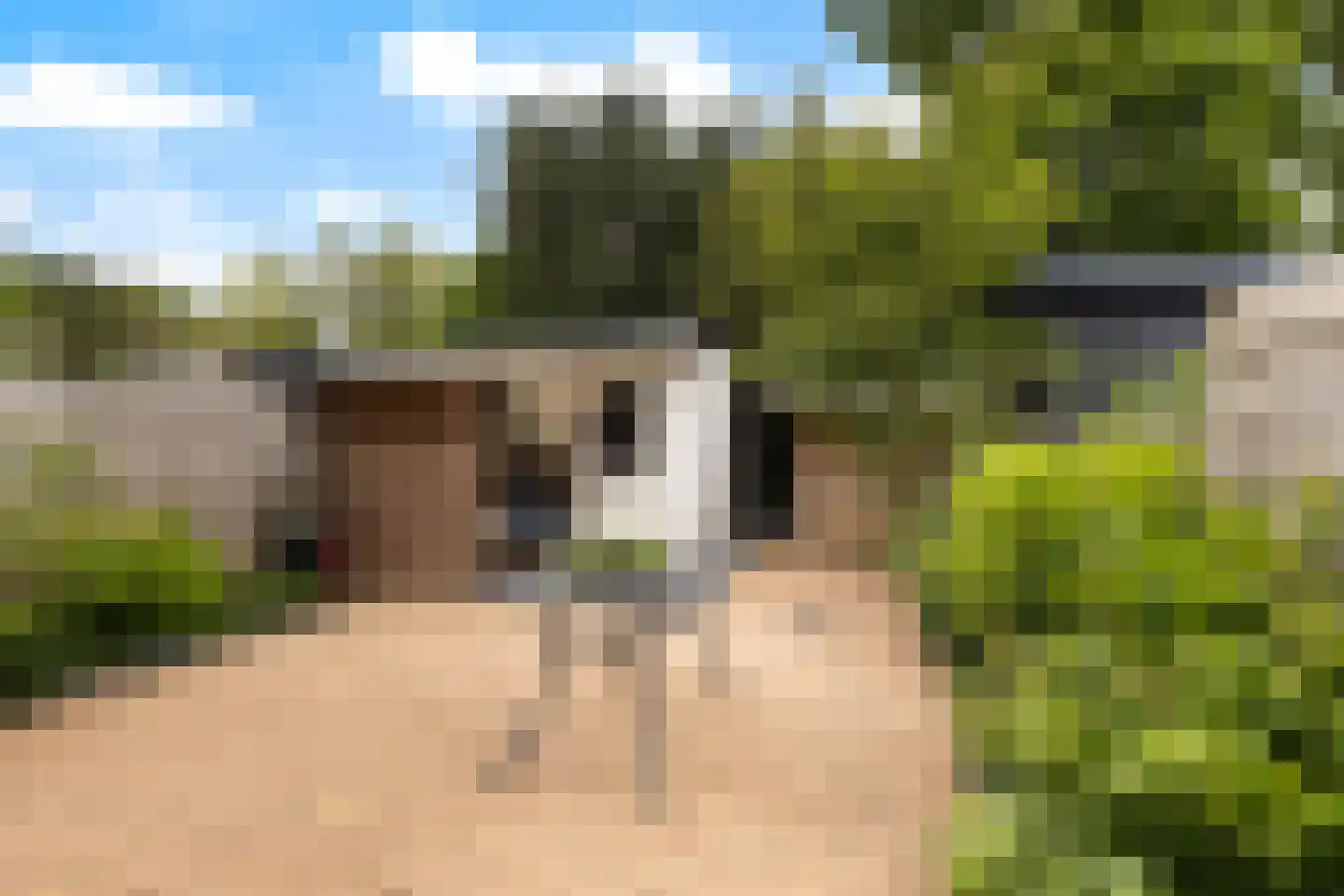 Pluim-es 56 Krimpen aan den IJssel thumbnail 33