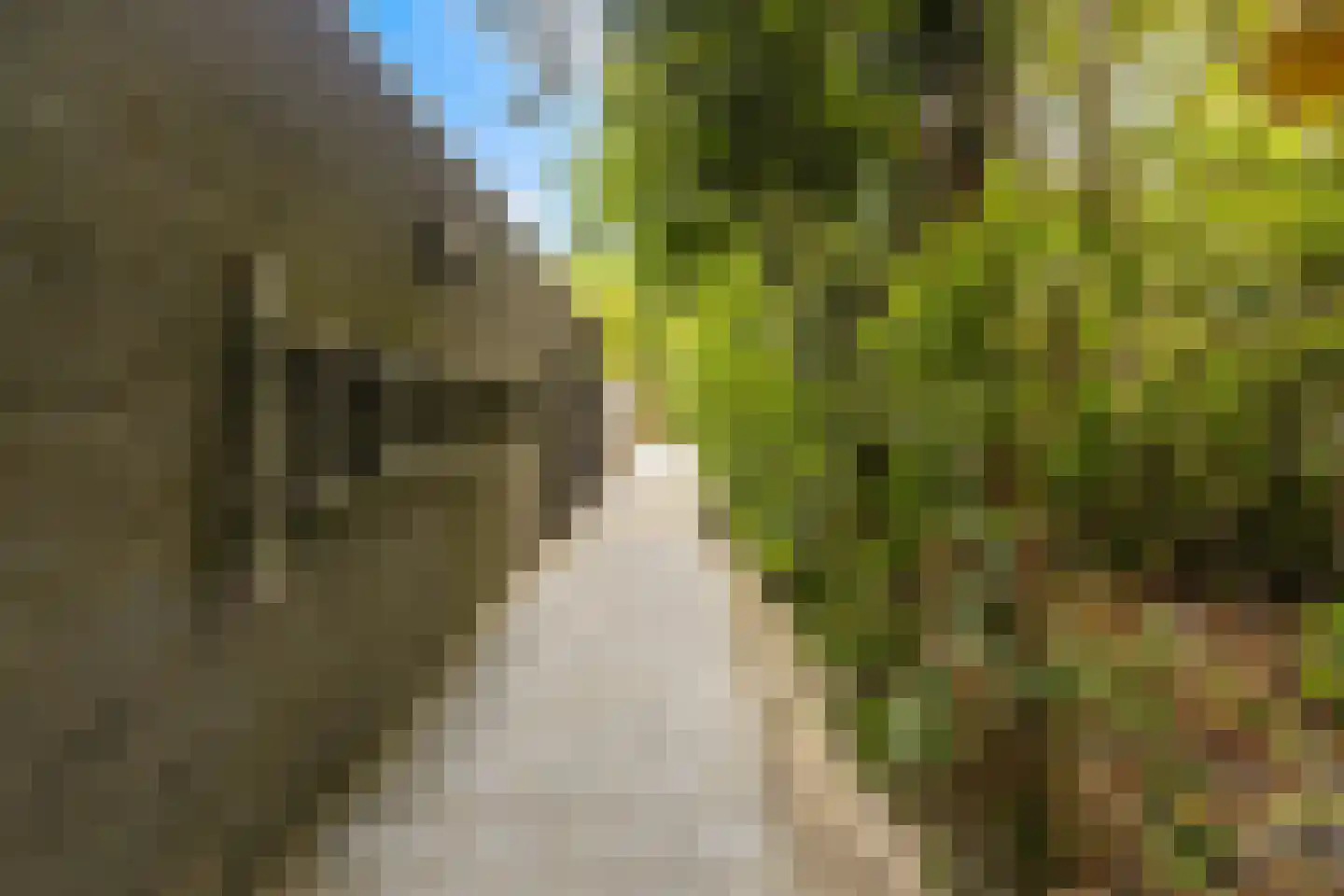 Pluim-es 56 Krimpen aan den IJssel thumbnail 36