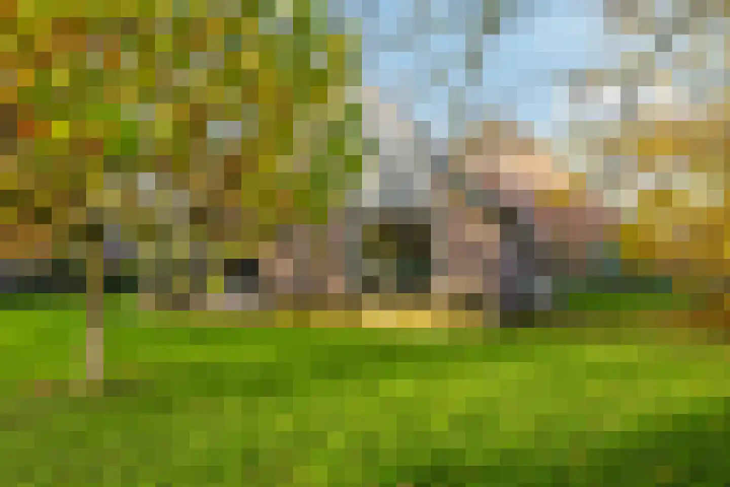 Pluimenburgsestraat 16 Dodewaard thumbnail 107