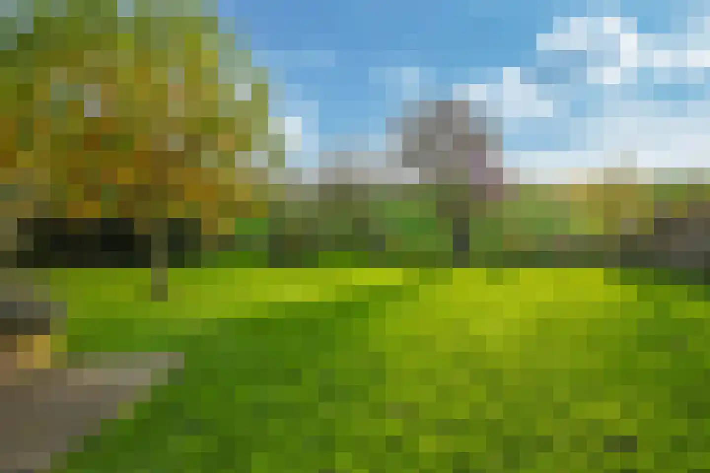 Pluimenburgsestraat 16 Dodewaard thumbnail 11