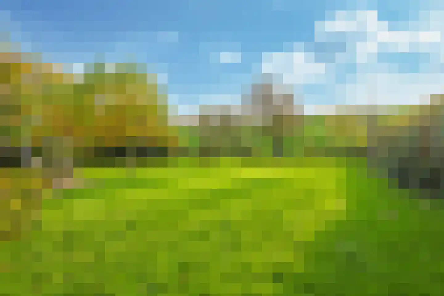 Pluimenburgsestraat 16 Dodewaard thumbnail 111