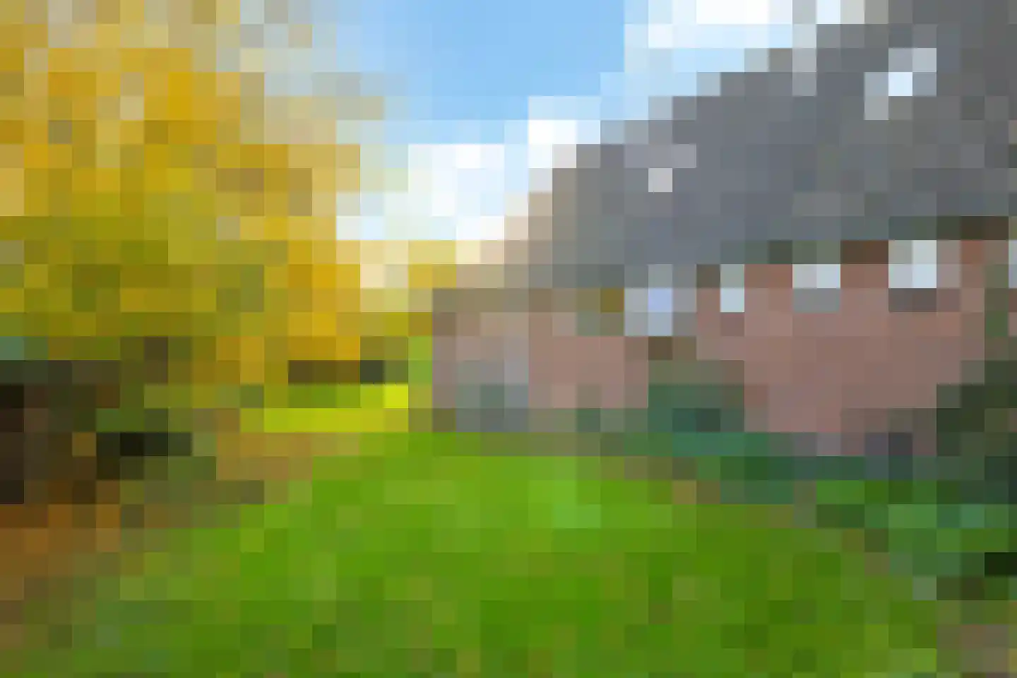 Pluimenburgsestraat 16 Dodewaard thumbnail 113