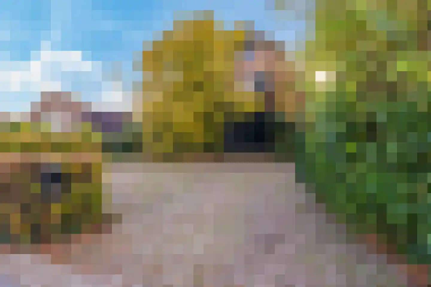 Pluimenburgsestraat 16 Dodewaard thumbnail 121