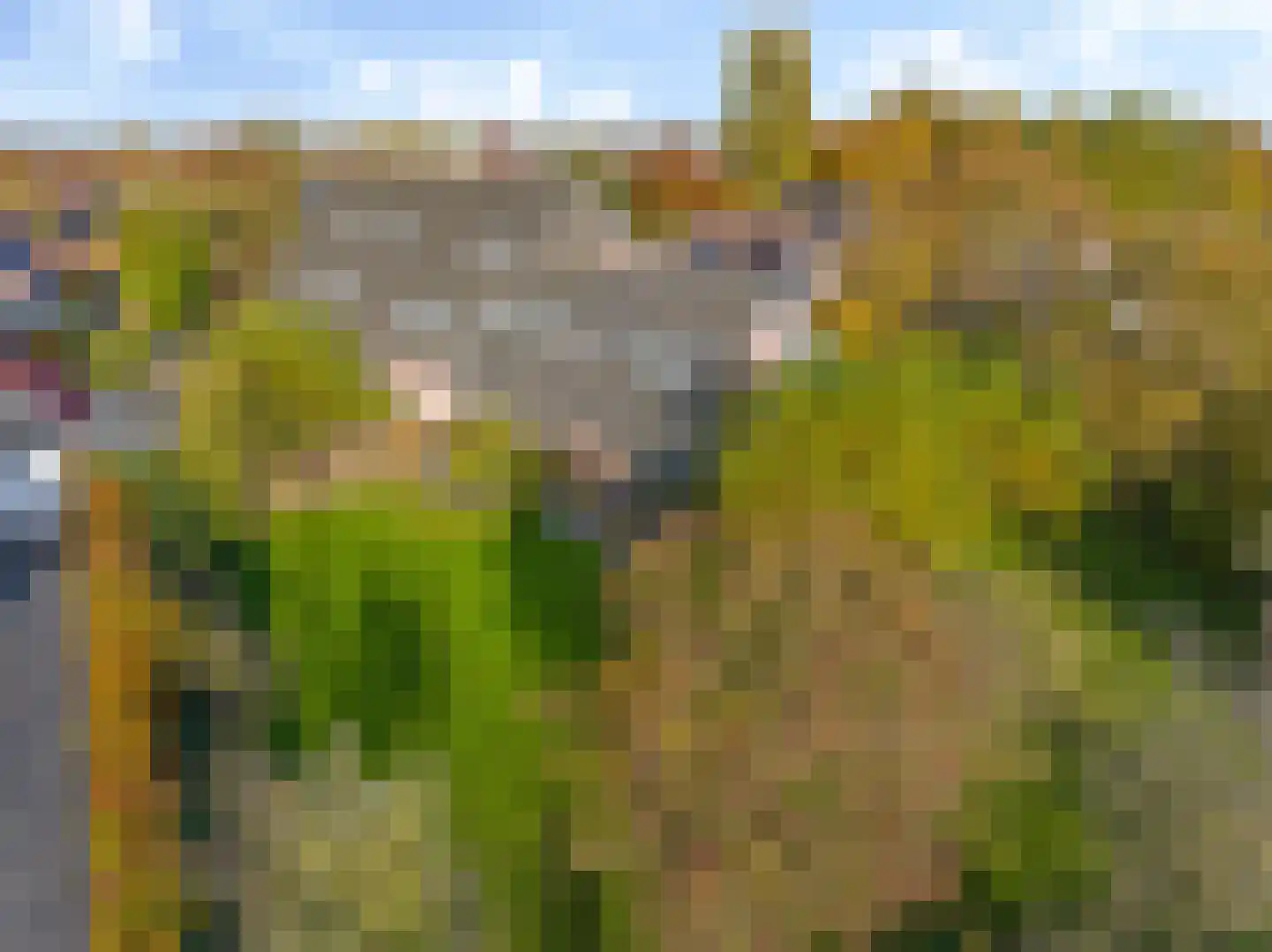 Pluimenburgsestraat 16 Dodewaard thumbnail 13