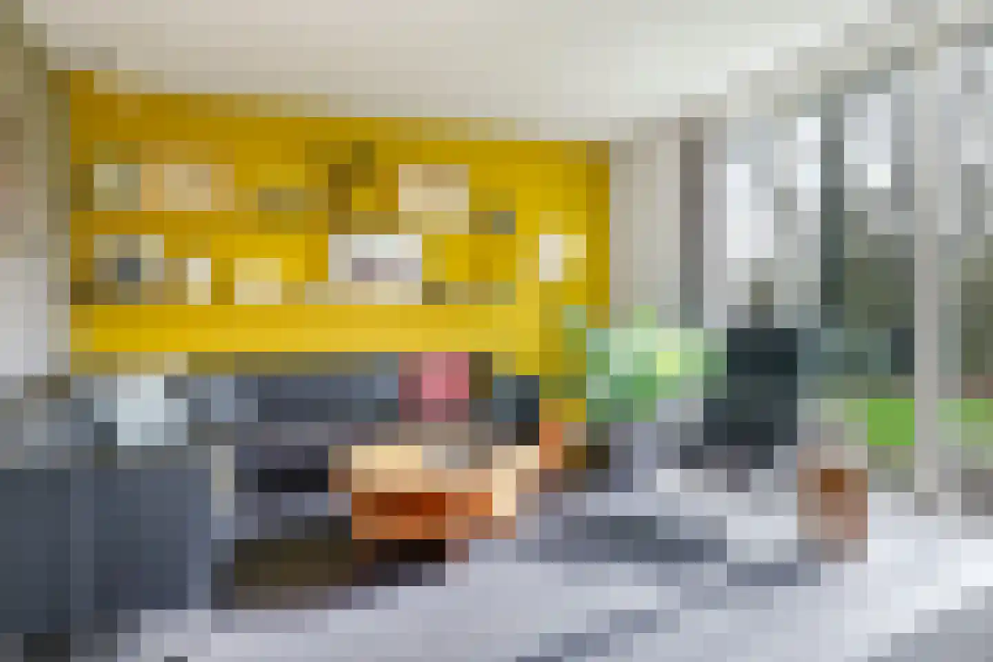 Pluimenburgsestraat 16 Dodewaard thumbnail 4