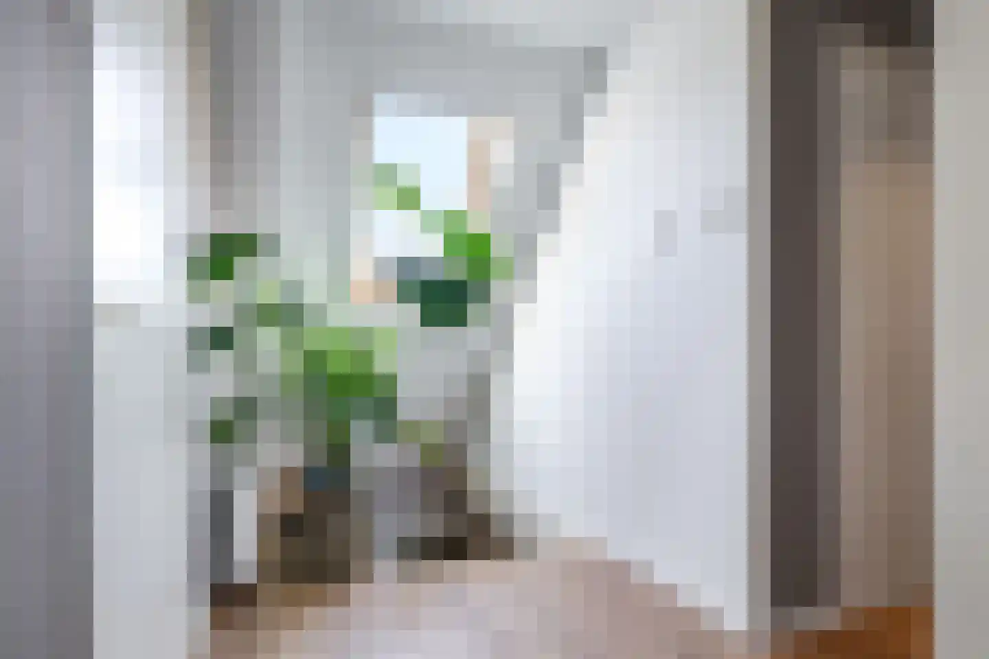 Pluimenburgsestraat 16 Dodewaard thumbnail 51