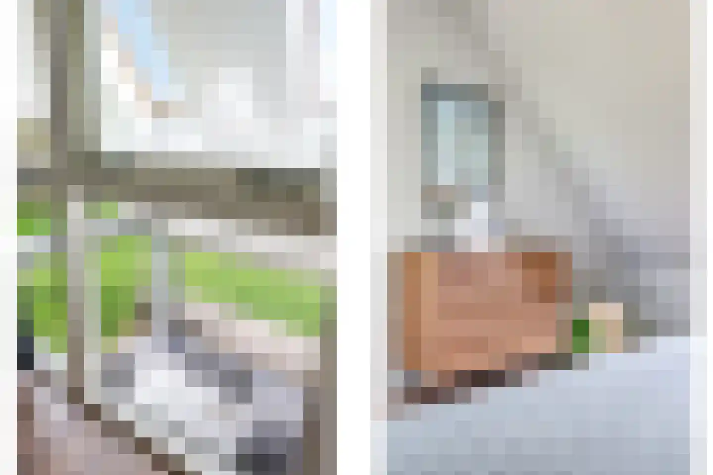 Pluimenburgsestraat 16 Dodewaard thumbnail 53