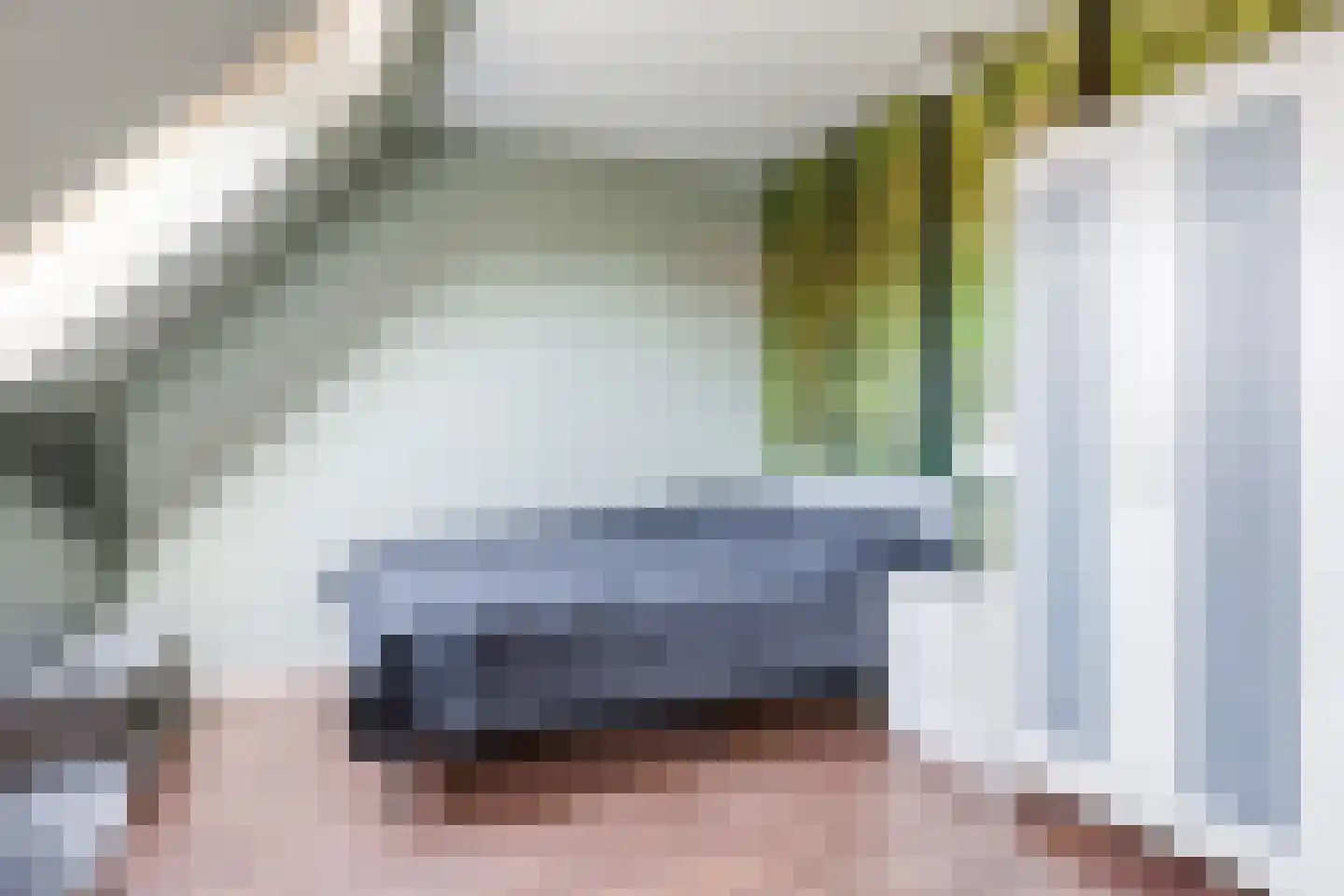 Pluimenburgsestraat 16 Dodewaard thumbnail 59