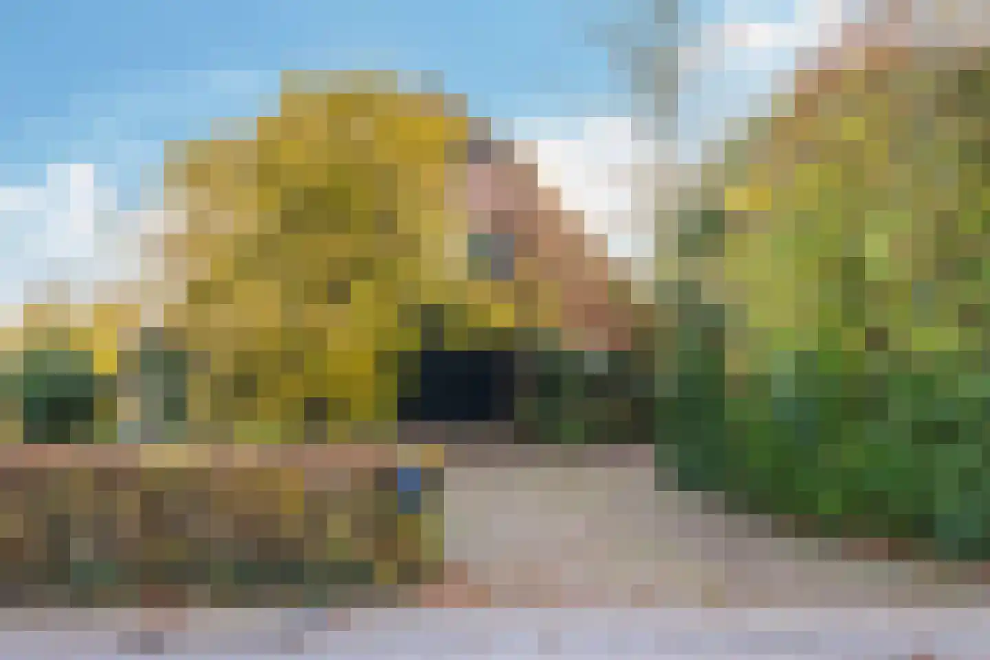 Pluimenburgsestraat 16 Dodewaard thumbnail 6