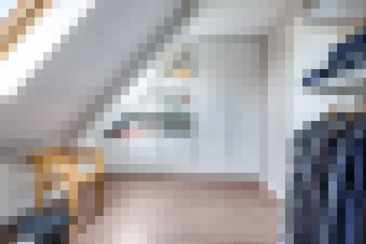 Pluimenburgsestraat 16 Dodewaard thumbnail 62