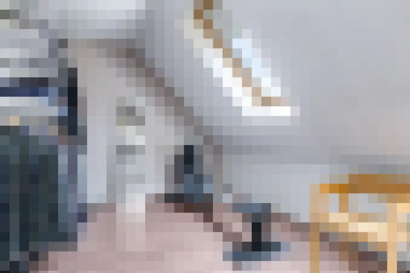 Pluimenburgsestraat 16 Dodewaard thumbnail 63
