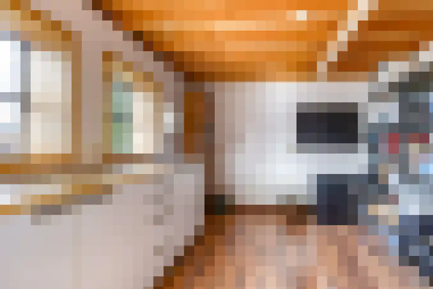 Pluimenburgsestraat 16 Dodewaard thumbnail 79