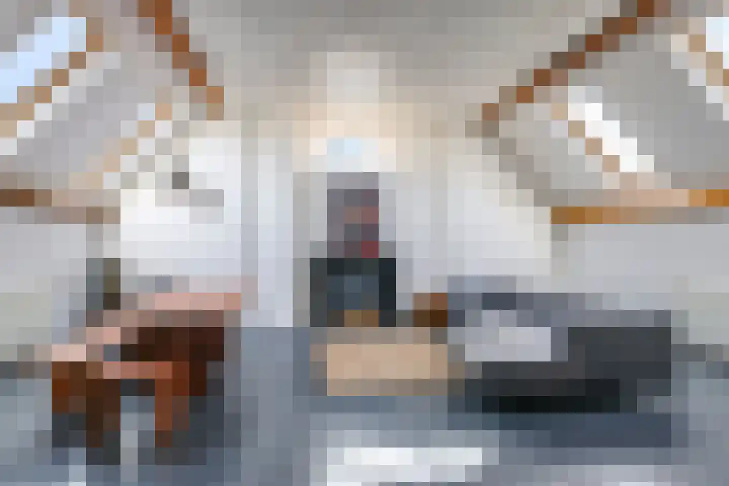 Pluimenburgsestraat 16 Dodewaard thumbnail 88