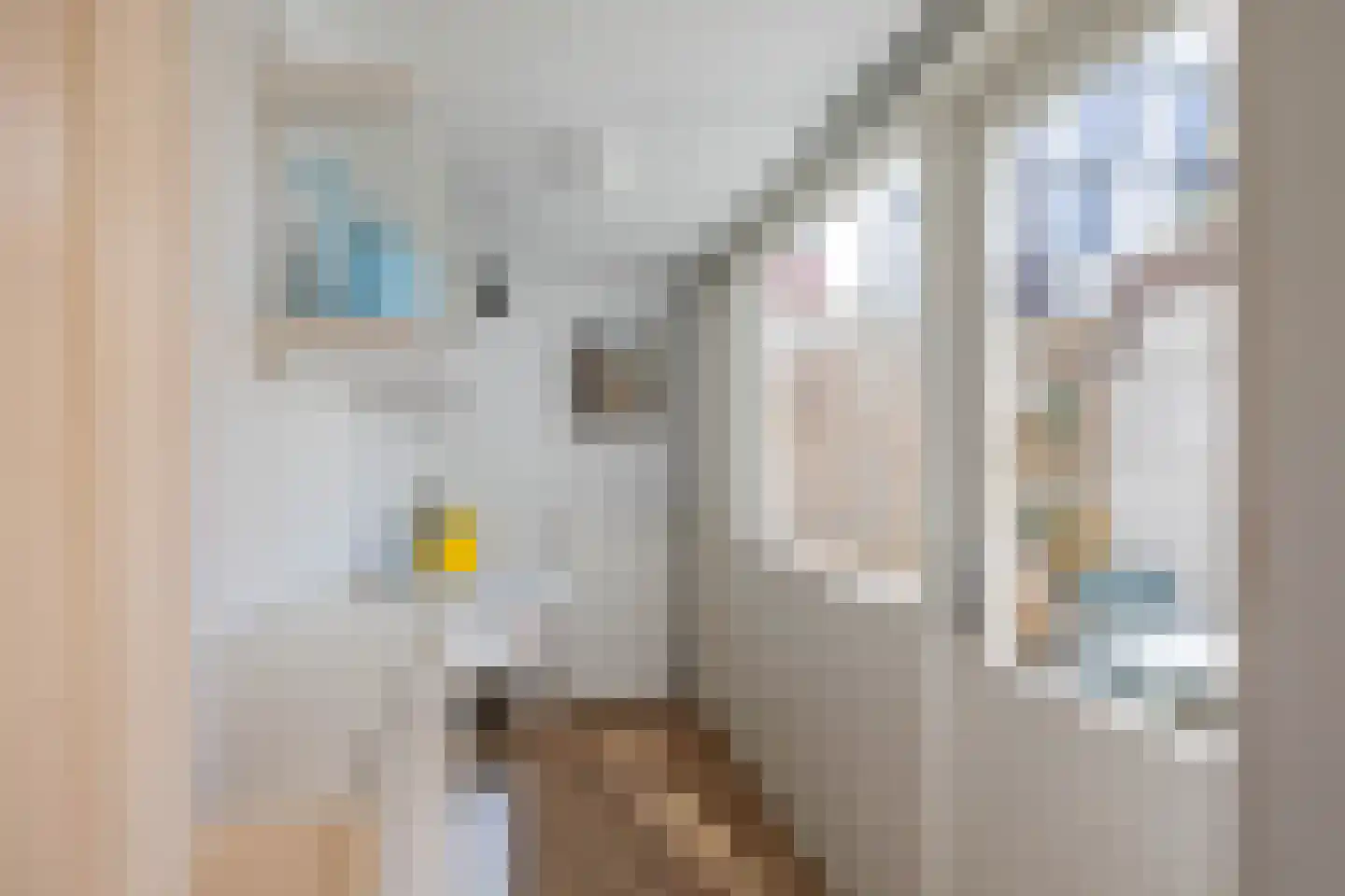 Pluimerstraat 19 Groningen thumbnail 15