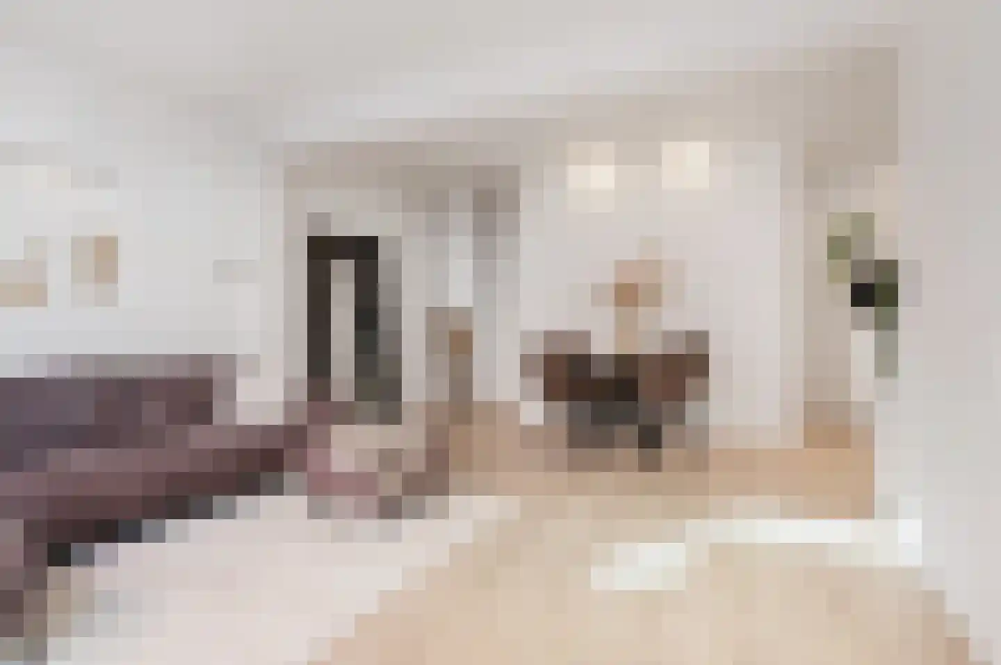 Pluimerstraat 31 Groningen thumbnail 13