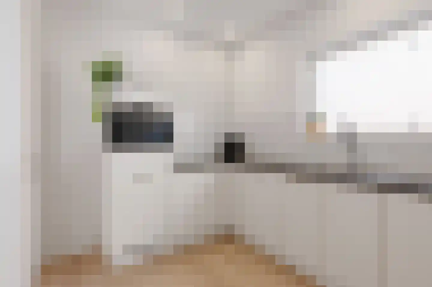 Pluimerstraat 31 Groningen thumbnail 18
