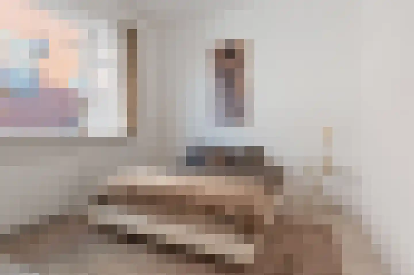 Pluimerstraat 31 Groningen thumbnail 24