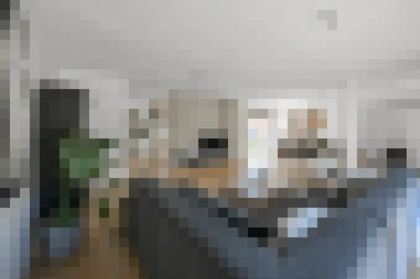Pluimgraaf 10 Assendelft thumbnail 10