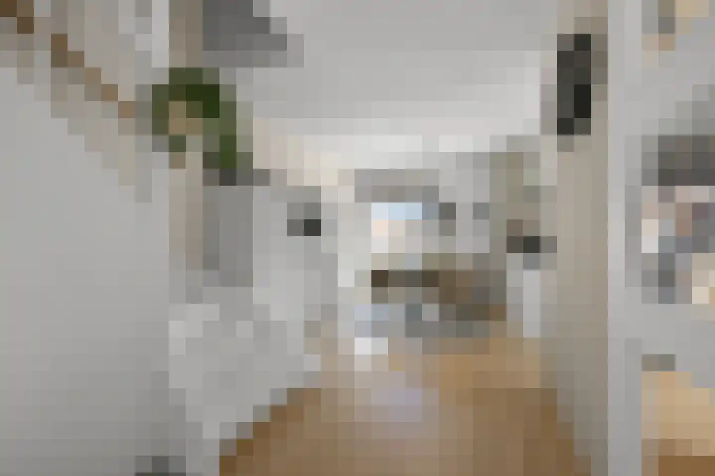 Pluimgraaf 10 Assendelft thumbnail 11
