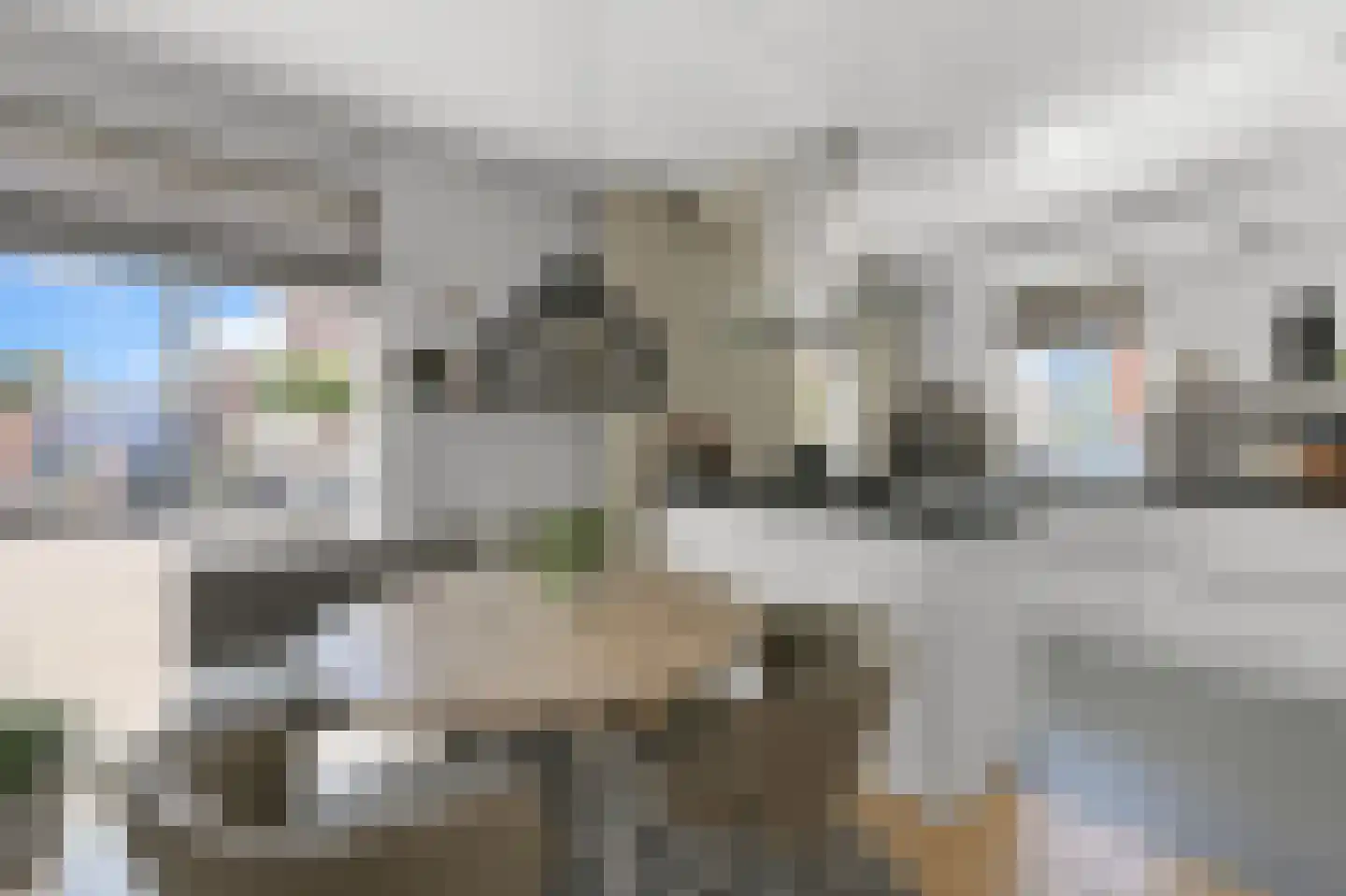 Pluimgraaf 10 Assendelft thumbnail 14