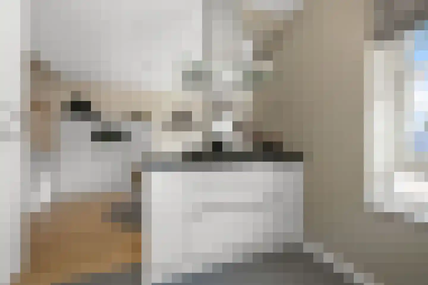 Pluimgraaf 10 Assendelft thumbnail 16