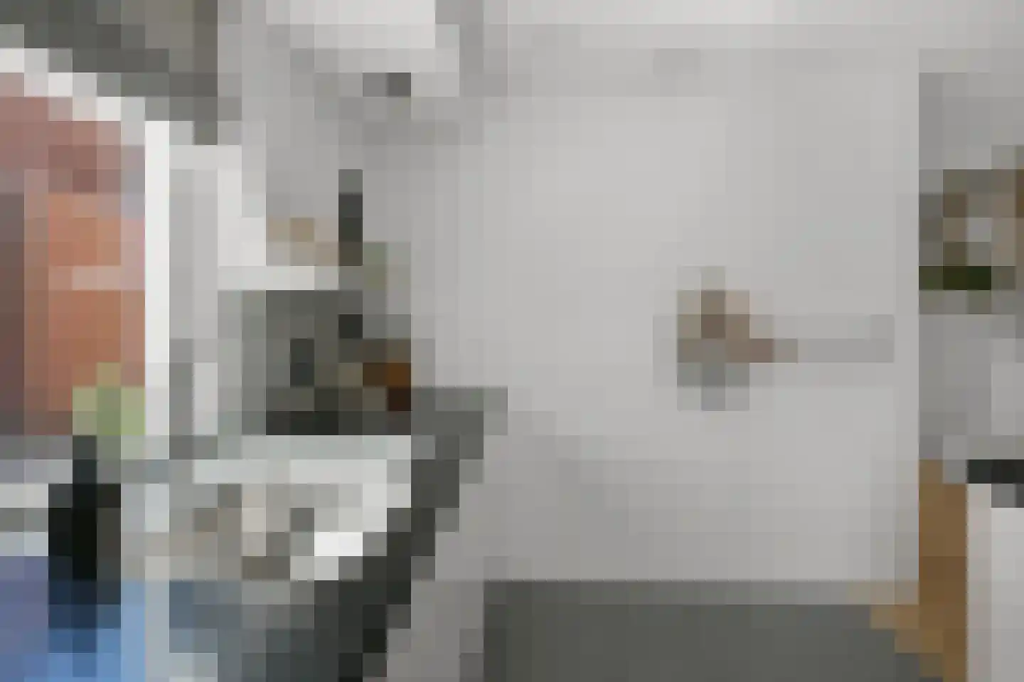 Pluimgraaf 10 Assendelft thumbnail 17