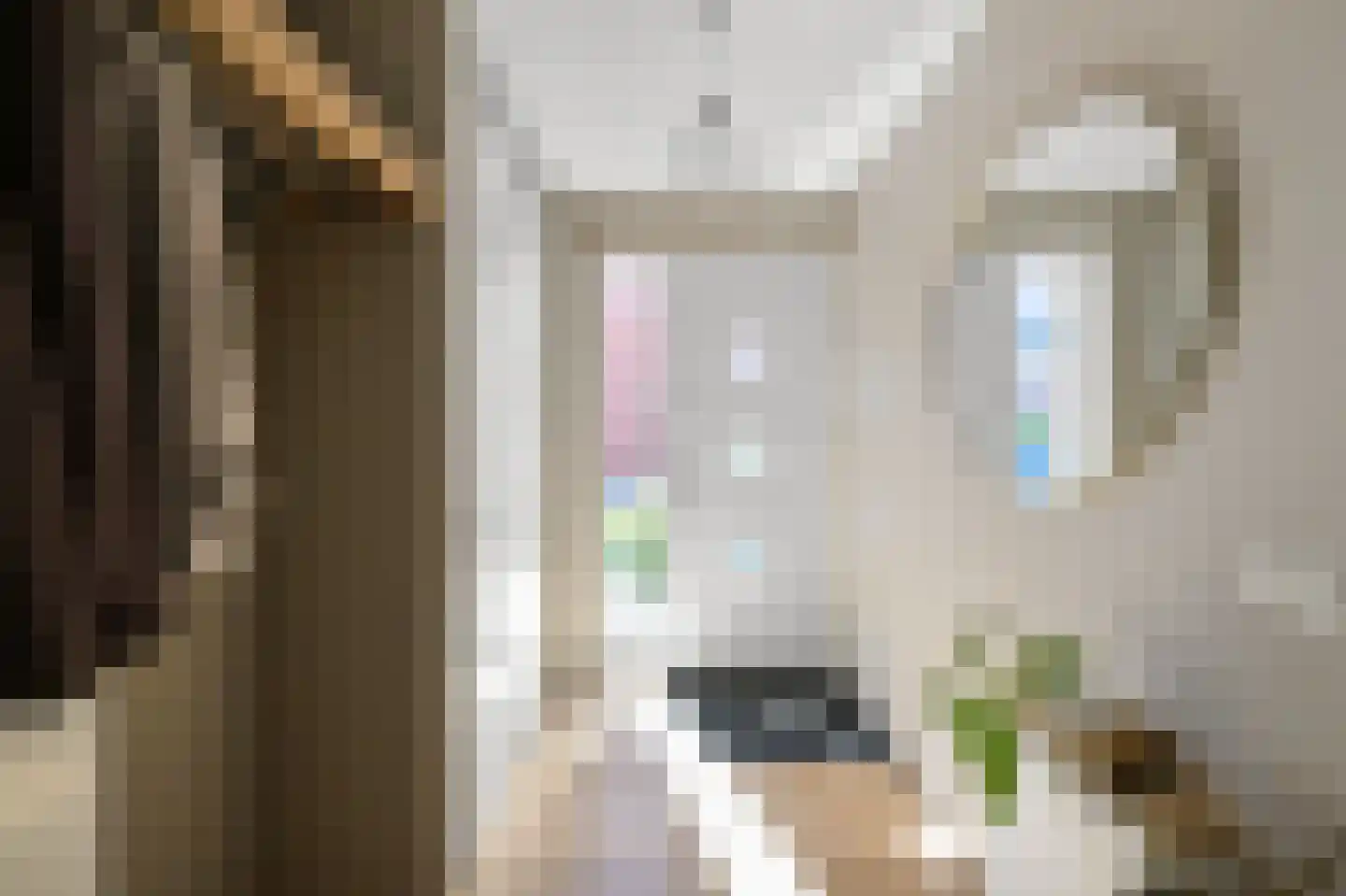 Pluimgraaf 10 Assendelft thumbnail 19