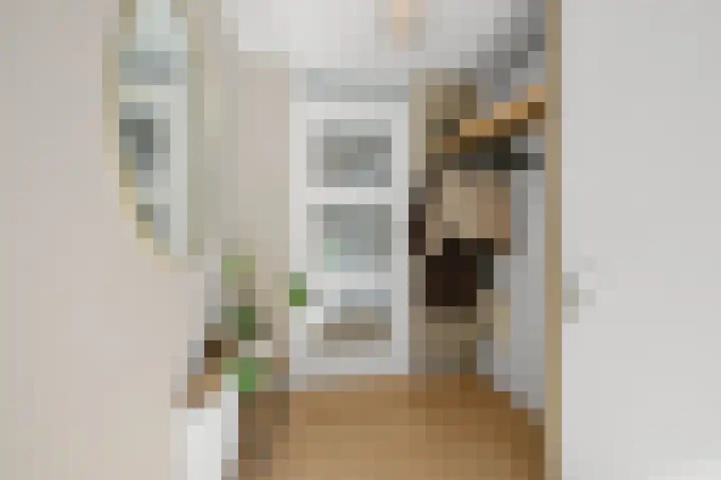 Pluimgraaf 10 Assendelft thumbnail 20