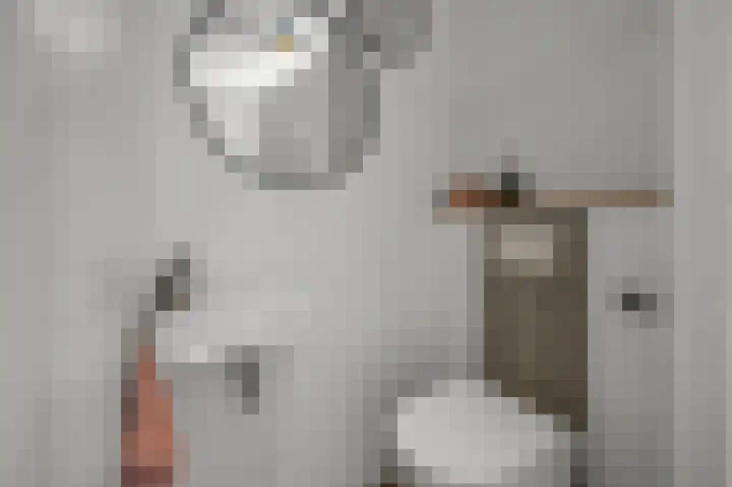 Pluimgraaf 10 Assendelft thumbnail 21