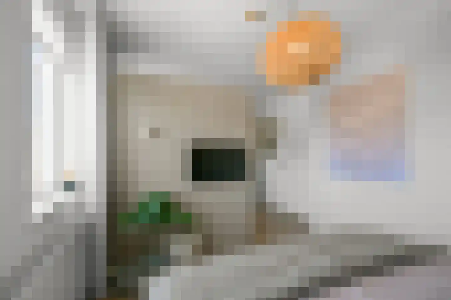 Pluimgraaf 10 Assendelft thumbnail 25