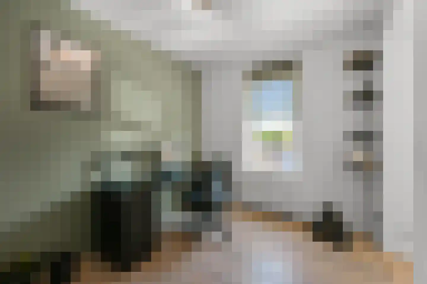 Pluimgraaf 10 Assendelft thumbnail 30