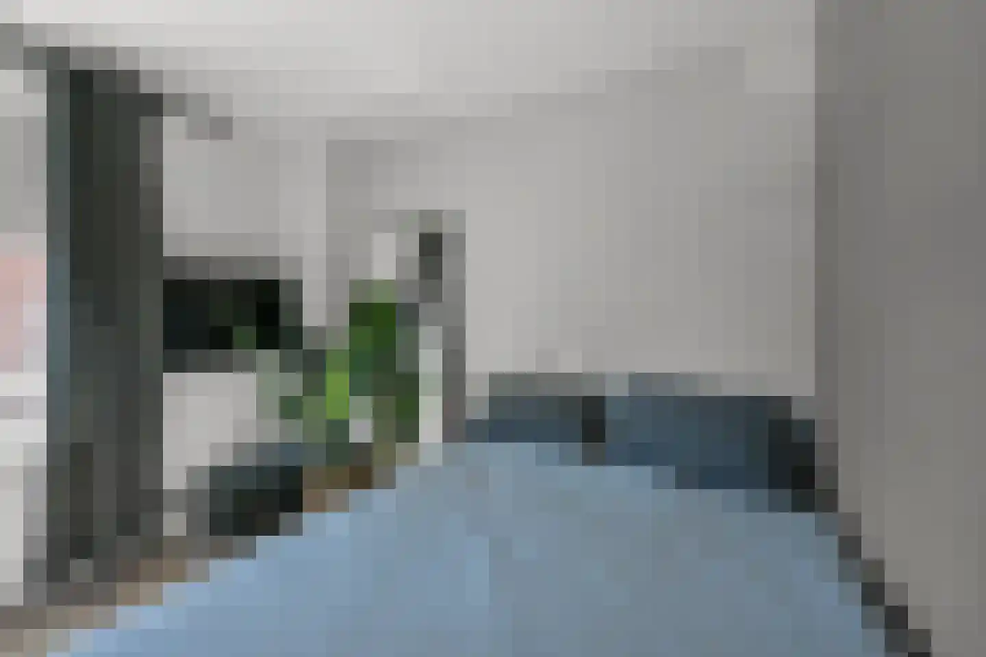 Pluimgraaf 10 Assendelft thumbnail 32