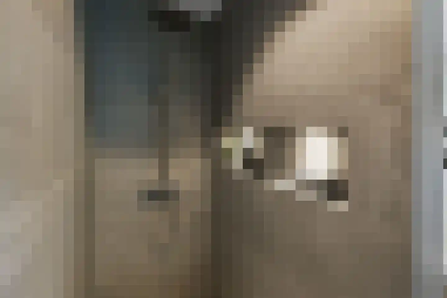 Pluimgraaf 10 Assendelft thumbnail 38