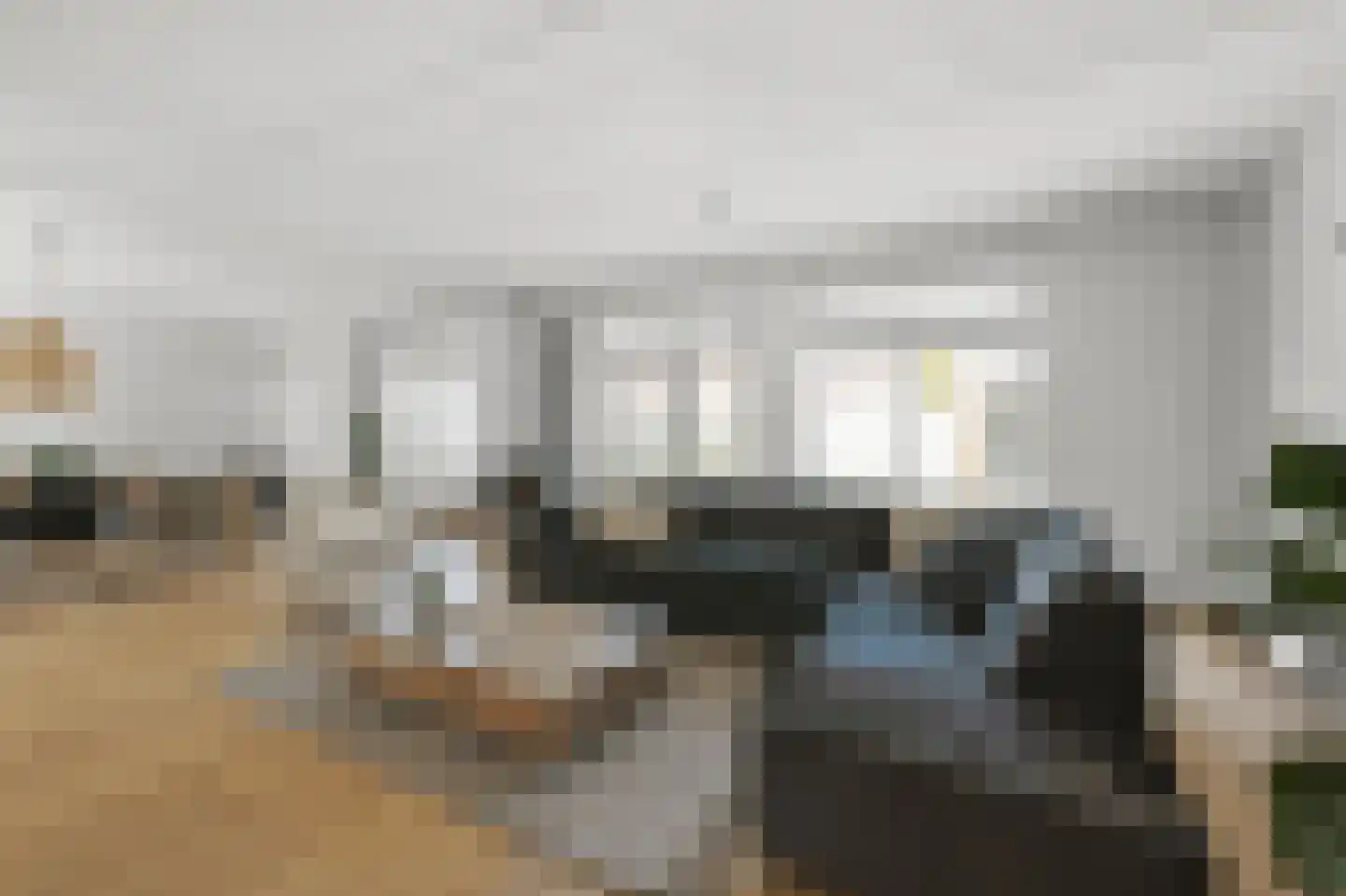 Pluimgraaf 10 Assendelft thumbnail 4