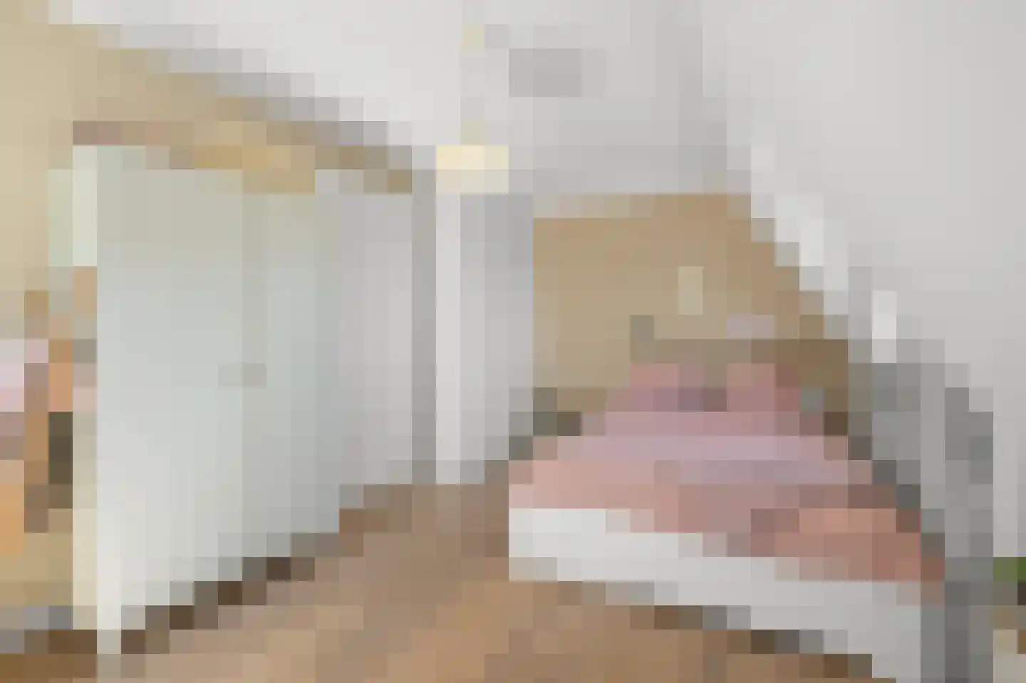 Pluimgraaf 10 Assendelft thumbnail 40