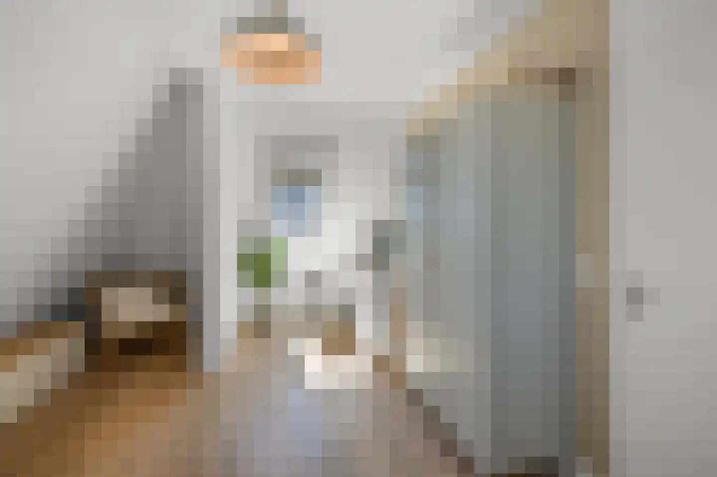 Pluimgraaf 10 Assendelft thumbnail 42