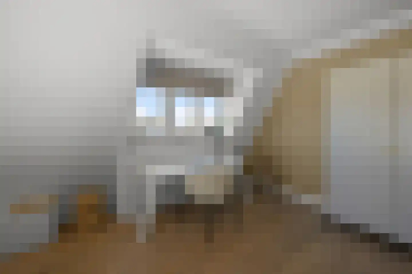 Pluimgraaf 10 Assendelft thumbnail 45