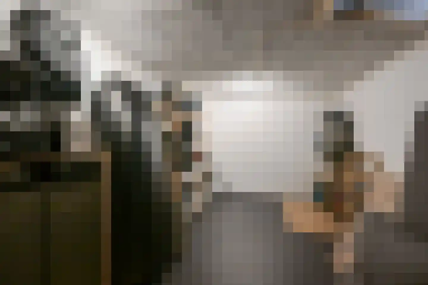Pluimgraaf 10 Assendelft thumbnail 49