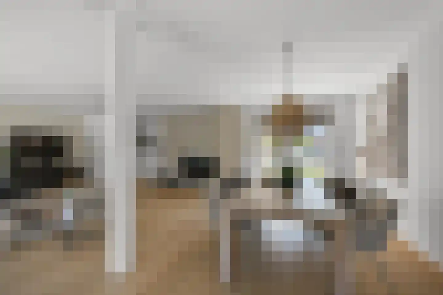 Pluimgraaf 10 Assendelft thumbnail 7