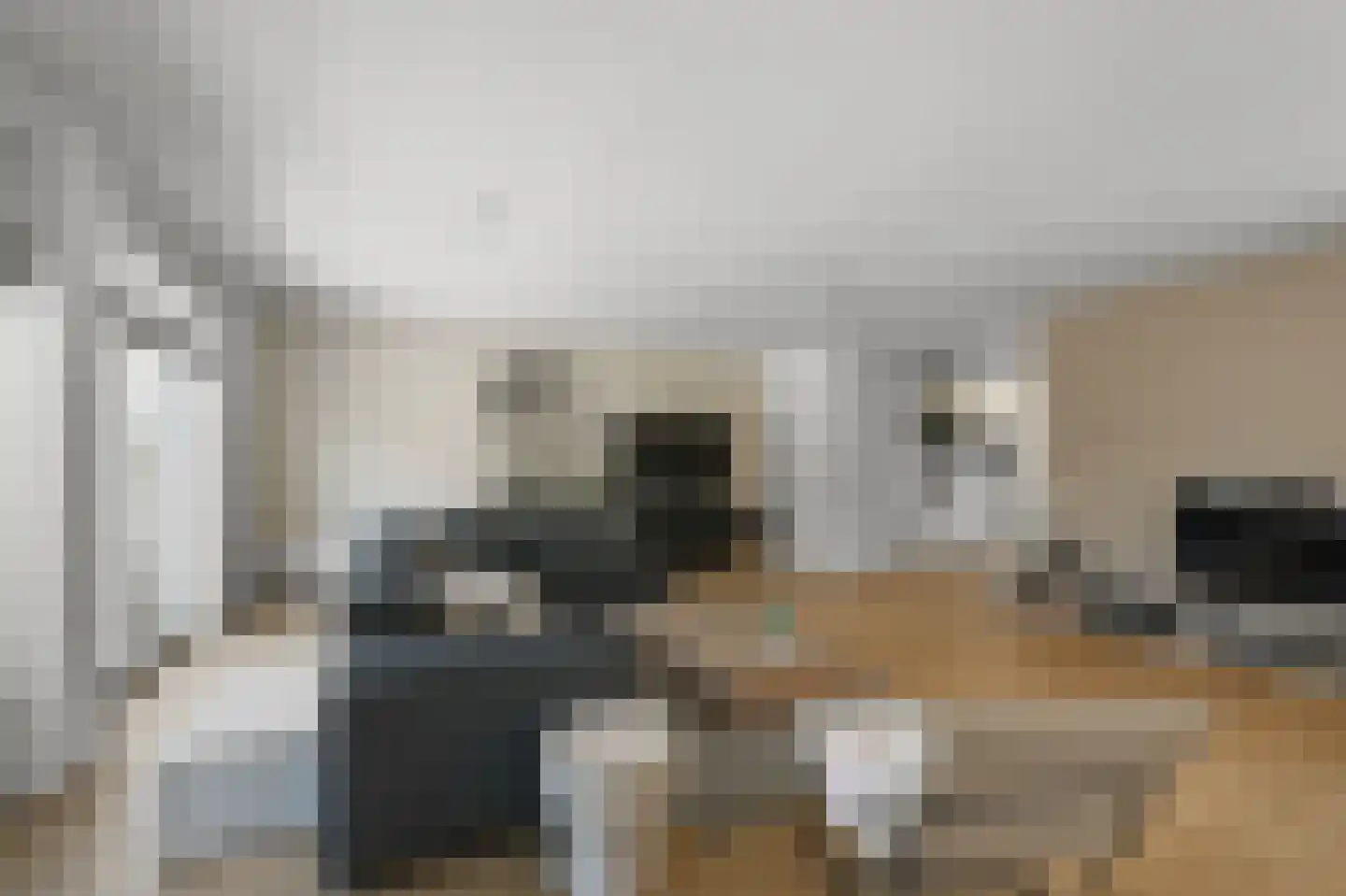 Pluimgraaf 10 Assendelft thumbnail 8