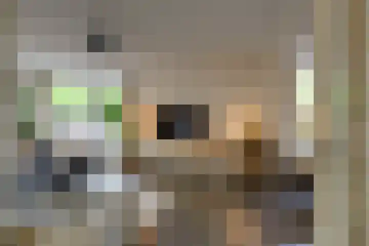 Pluimgras 1 Leiden thumbnail 7