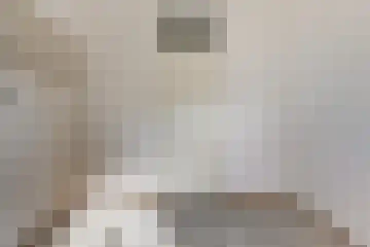 Pluimgras 10 Purmerend thumbnail 22