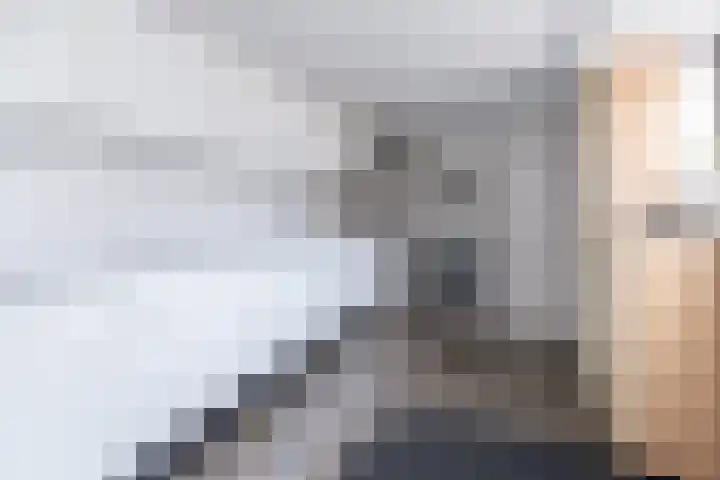 Pluimgras 10 Purmerend thumbnail 32