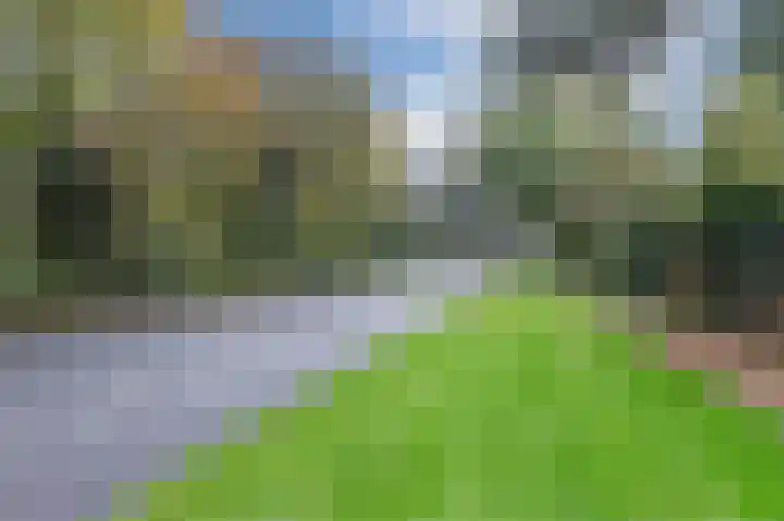 Pluimgras 16 Purmerend thumbnail 64