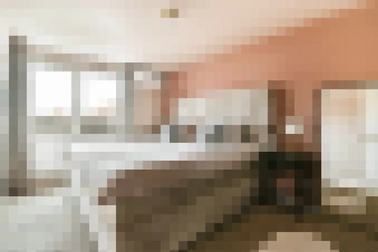 Pluimgras 16 Spijkenisse thumbnail 12