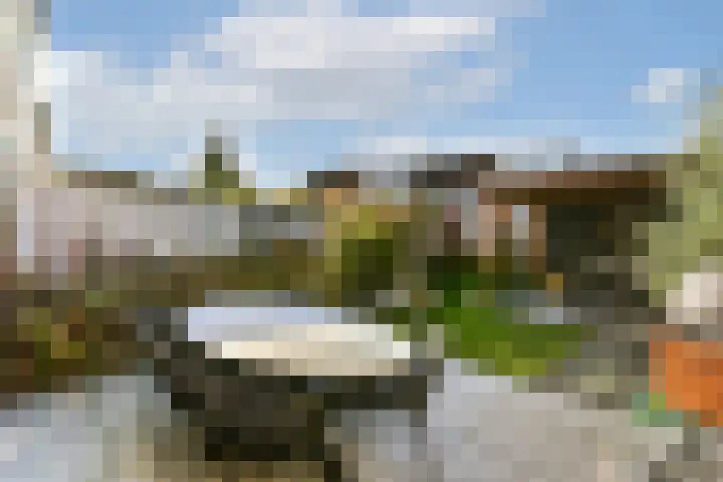 Pluimgras 16 Spijkenisse thumbnail 24