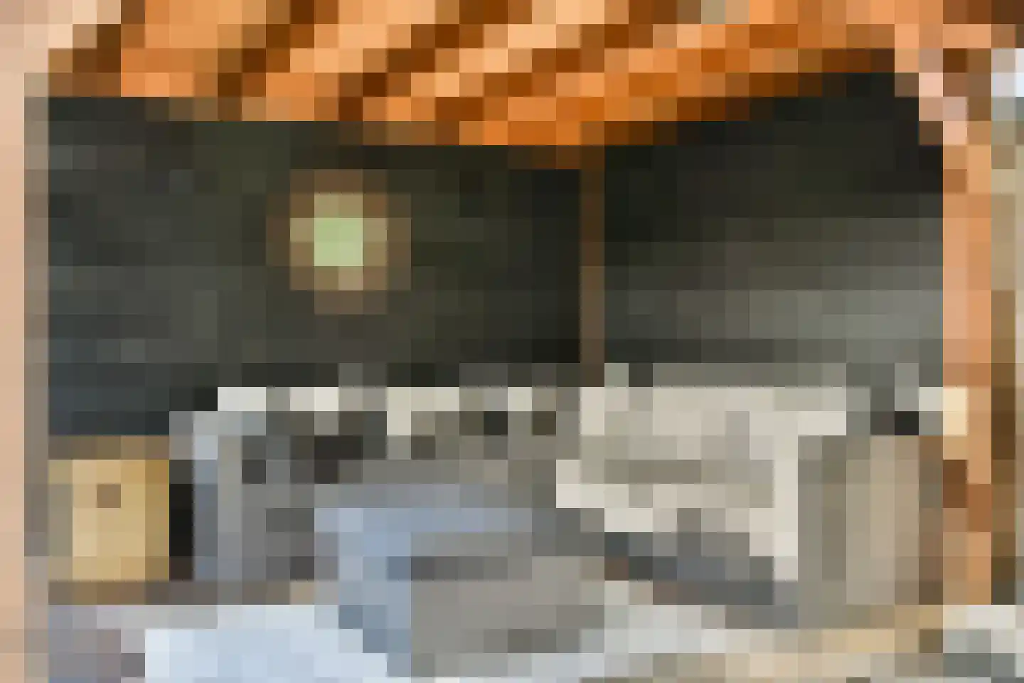 Pluimgras 16 Spijkenisse thumbnail 25