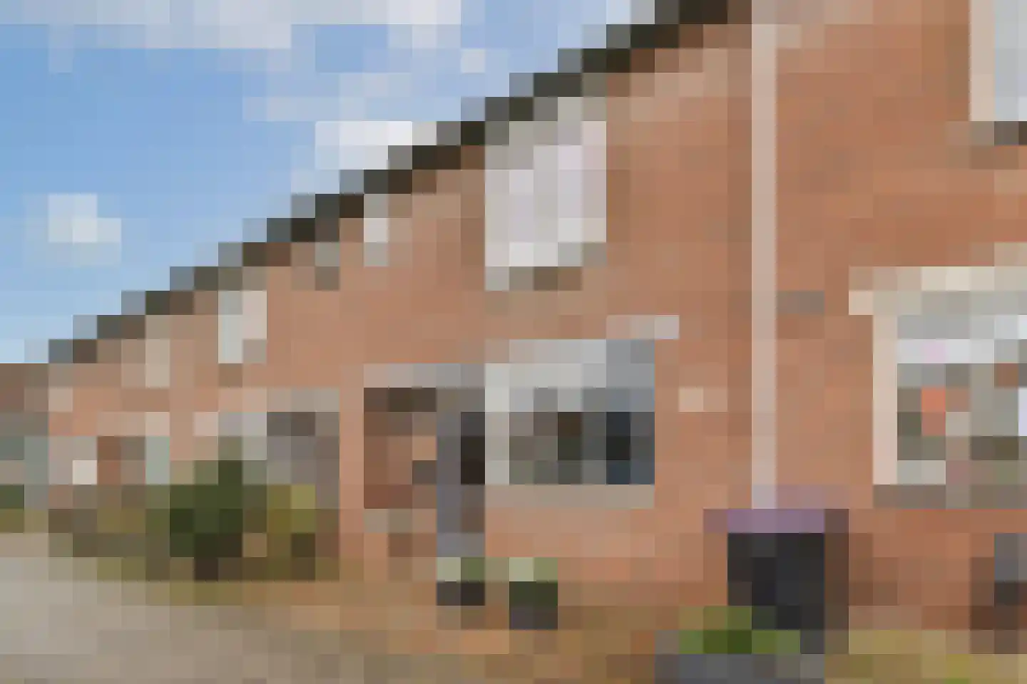 Pluimgras 16 Spijkenisse thumbnail 26